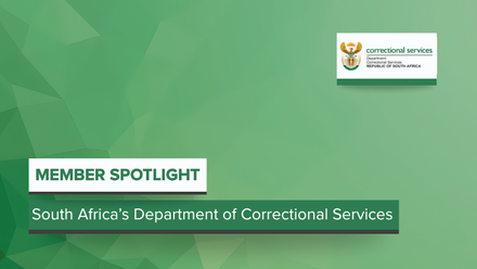 Website - South Africa.png