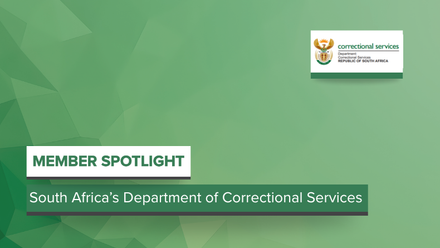 Website - South Africa.png
