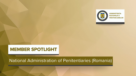 Website- NAP-Member Spotlight.png