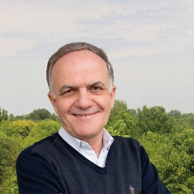 Roy Moussalli