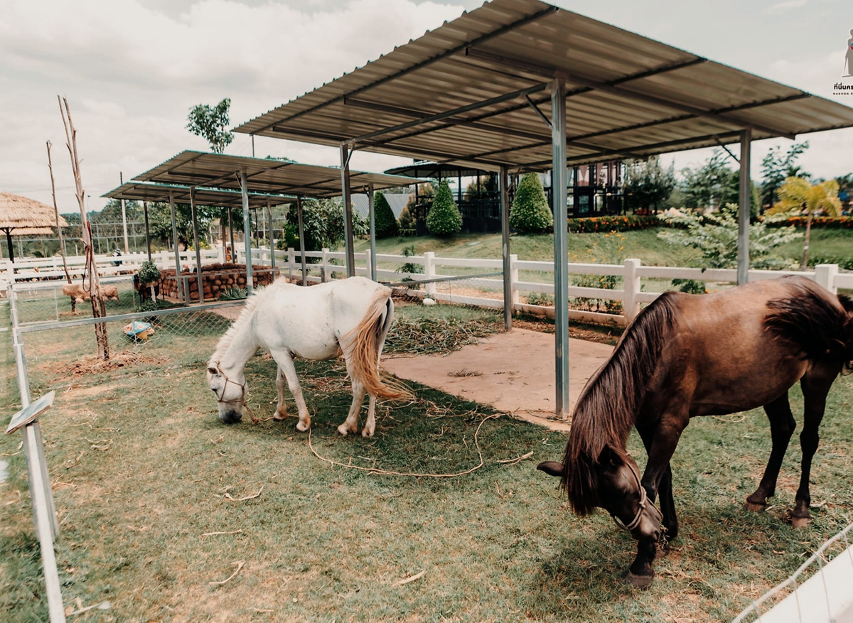 Khao Phraik Agricultural